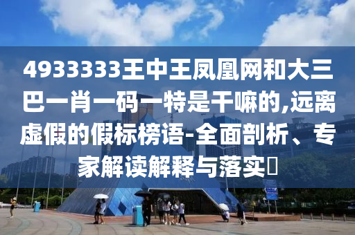 4933333王中王鳳凰網(wǎng)和大三巴一肖一碼一特是干嘛的,遠(yuǎn)離虛假的假標(biāo)榜語-全面剖析、專家解讀解釋與落實(shí)?