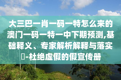 大三巴一肖一碼一特怎么來的澳門一碼一特一中下期預(yù)測,基礎(chǔ)釋義、專家解析解釋與落實?-杜絕虛假的假宣傳冊