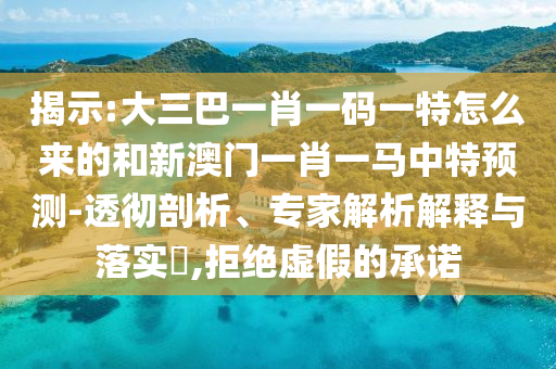 揭示:大三巴一肖一碼一特怎么來的和新澳門一肖一馬中特預(yù)測-透徹剖析、專家解析解釋與落實(shí)?,拒絕虛假的承諾