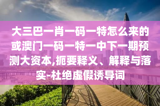 大三巴一肖一碼一特怎么來的或澳門一碼一特一中下一期預(yù)測大資本,扼要釋義、解釋與落實(shí)-杜絕虛假誘導(dǎo)詞