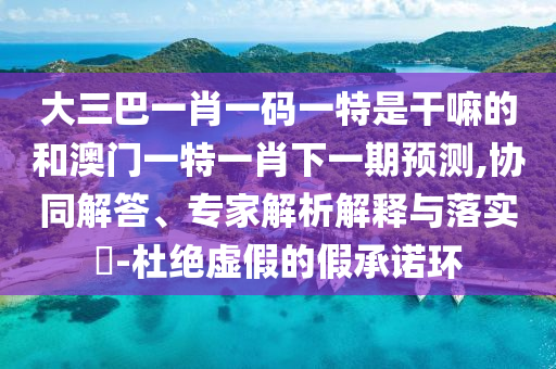 大三巴一肖一碼一特是干嘛的和澳門一特一肖下一期預(yù)測,協(xié)同解答、專家解析解釋與落實?-杜絕虛假的假承諾環(huán)