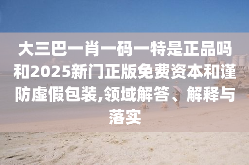 大三巴一肖一碼一特是正品嗎和2025新門正版免費資本和謹(jǐn)防虛假包裝,領(lǐng)域解答、解釋與落實