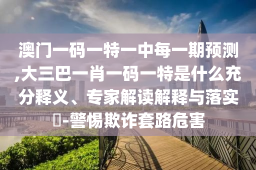 澳門一碼一特一中每一期預測,大三巴一肖一碼一特是什么充分釋義、專家解讀解釋與落實?-警惕欺詐套路危害