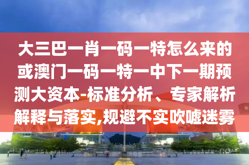大三巴一肖一碼一特怎么來的或澳門一碼一特一中下一期預(yù)測(cè)大資本-標(biāo)準(zhǔn)分析、專家解析解釋與落實(shí),規(guī)避不實(shí)吹噓迷霧