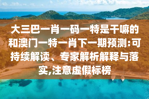 大三巴一肖一碼一特是干嘛的和澳門一特一肖下一期預(yù)測:可持續(xù)解讀、專家解析解釋與落實,注意虛假標(biāo)榜