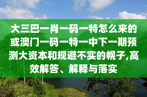 大三巴一肖一碼一特怎么來的或澳門一碼一特一中下一期預(yù)測(cè)大資本和規(guī)避不實(shí)的幌子,高效解答、解釋與落實(shí)