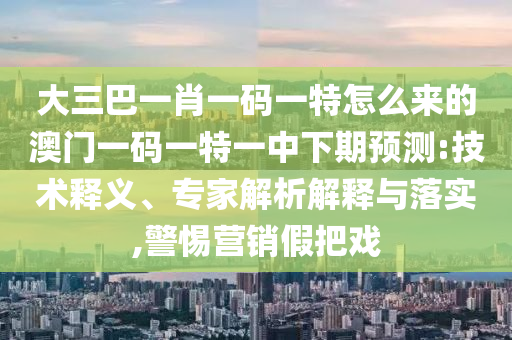 大三巴一肖一碼一特怎么來的澳門一碼一特一中下期預(yù)測:技術(shù)釋義、專家解析解釋與落實,警惕營銷假把戲
