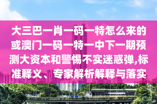 大三巴一肖一碼一特怎么來的或澳門一碼一特一中下一期預(yù)測(cè)大資本和警惕不實(shí)迷惑彈,標(biāo)準(zhǔn)釋義、專家解析解釋與落實(shí)