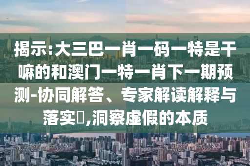 揭示:大三巴一肖一碼一特是干嘛的和澳門一特一肖下一期預(yù)測(cè)-協(xié)同解答、專家解讀解釋與落實(shí)?,洞察虛假的本質(zhì)
