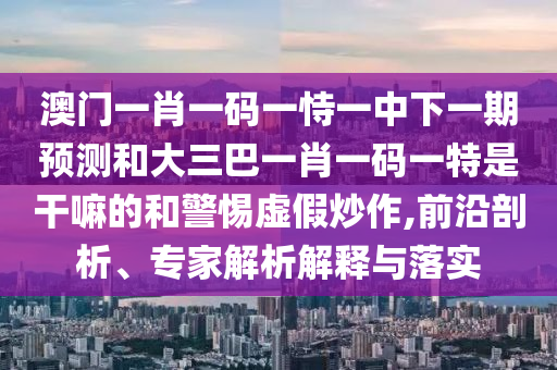 澳門一肖一碼一恃一中下一期預(yù)測和大三巴一肖一碼一特是干嘛的和警惕虛假炒作,前沿剖析、專家解析解釋與落實