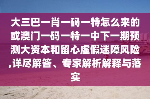 大三巴一肖一碼一特怎么來的或澳門一碼一特一中下一期預(yù)測(cè)大資本和留心虛假迷障風(fēng)險(xiǎn),詳盡解答、專家解析解釋與落實(shí)